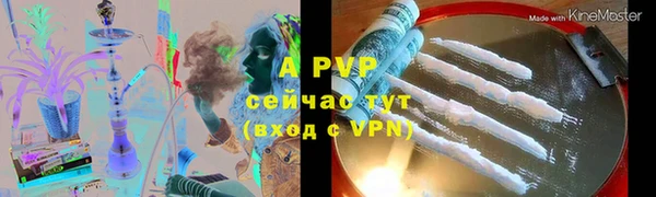 прущие грибы Абинск