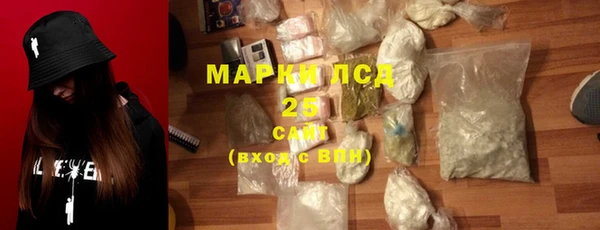 прущие грибы Абинск