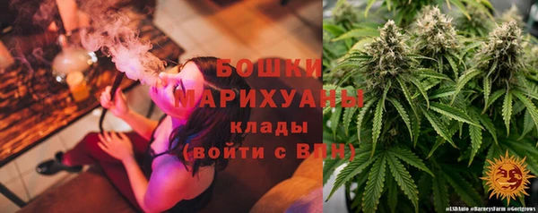 прущие грибы Абинск