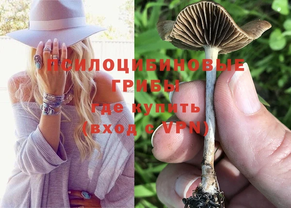 мяу мяу мука Протвино