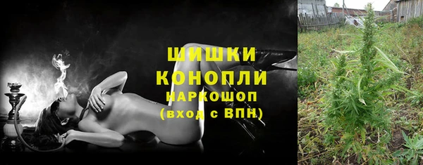 прущие грибы Абинск